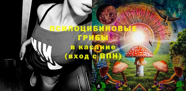 спайс Бородино